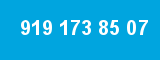 919 173 85 07